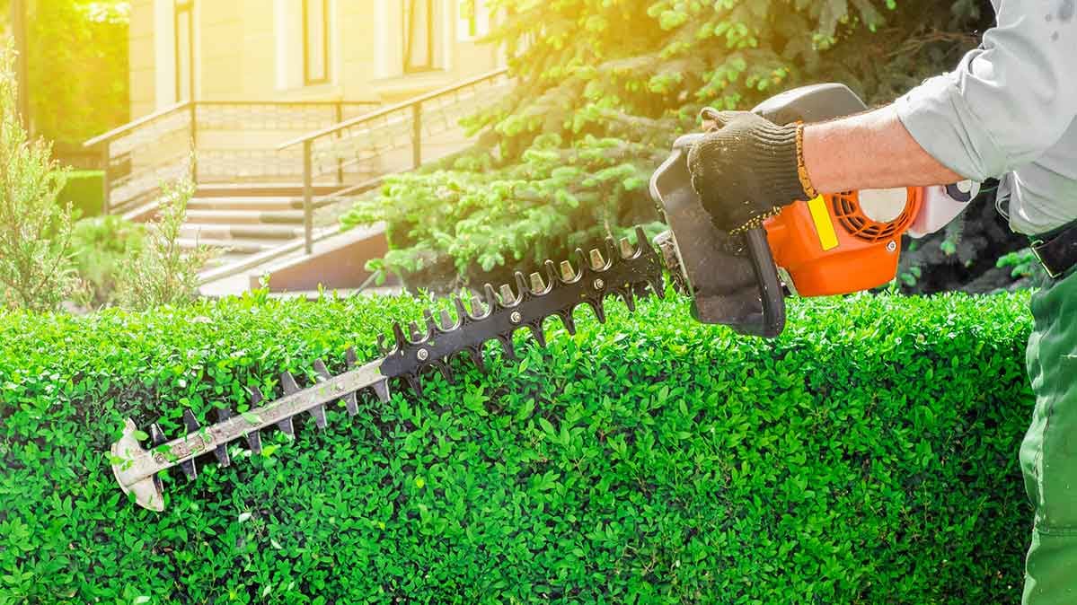 how-to-assess-a-lawn-care-service-consumer-reports